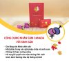 Nhân sâm hòa tan CND GINSENG Red Hộp 30 gói
