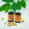 Viên nhân sâm CND GINSENG GOLD 60 viên
