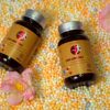 Viên nhân sâm CND GINSENG GOLD 60 viên