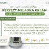 Kem trị nám, dưỡng trắng Perfect Melasma +Dr.Lee 30g