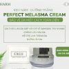 Kem trị nám, dưỡng trắng Perfect Melasma +Dr.Lee 30g